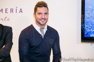David-Bisbal-Fitur