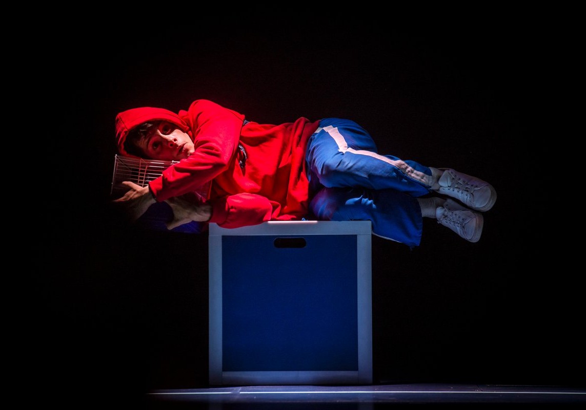 critica-curioso-incidente-perro-medianoche-entradas-teatro