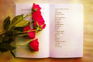 5 libros para regalar en sant jordi dia del libro comprar